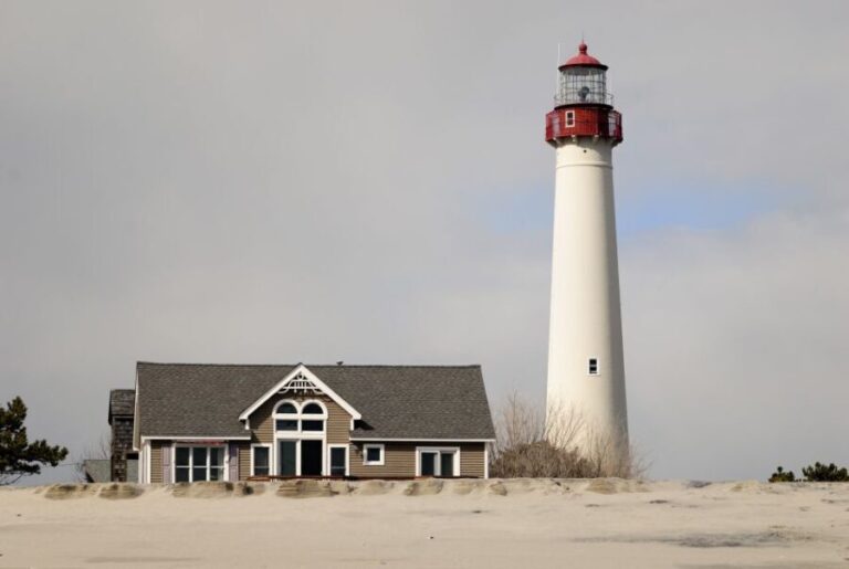 Cape May: 2-Hour Dolphin Watching Cruise - Who Should Consider This Tour?
