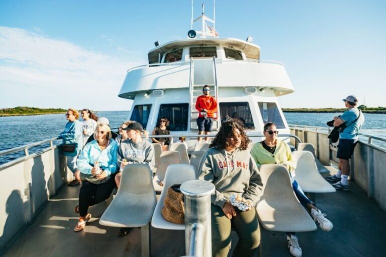 Cape May: Cape May Island Sunset Cruise & Dolphin Watching - What to Expect on Your Sunset Dolphin Cruise