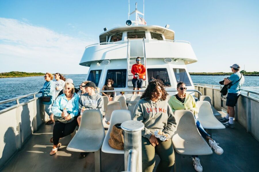 Cape May: Cape May Island Sunset Cruise & Dolphin Watching - What to Expect on Your Sunset Dolphin Cruise