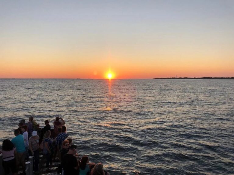 Cape May: Sunset Dolphin Cruise with Optional Wine Tastings - The Experience Provider: Cape May Whale Watcher