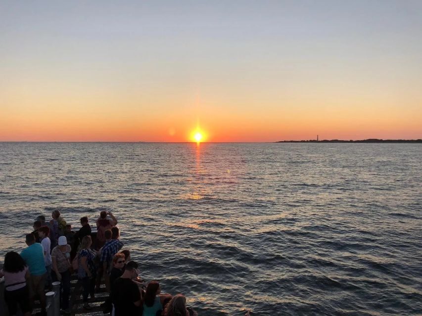 Cape May: Sunset Dolphin Cruise with Optional Wine Tastings - The Experience Provider: Cape May Whale Watcher