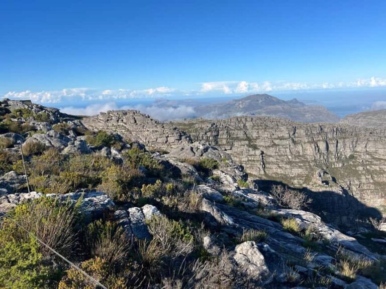 Cape of Good Hope and Boulders Beach Private Tour - Who Will Love This Tour?