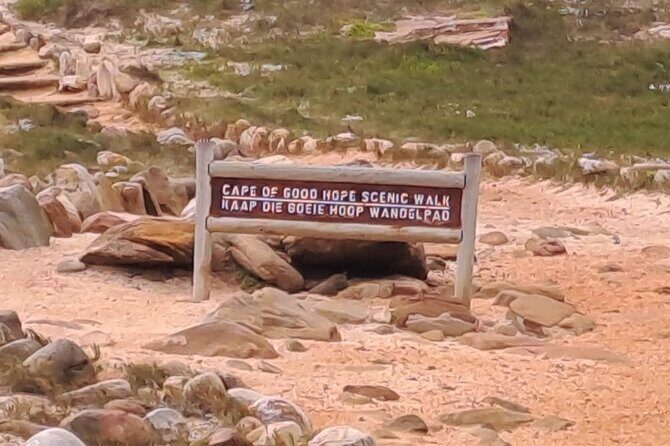 Cape of Good Hope-Cape Point & Penguins from Cape Town - Is This Tour Worth It?