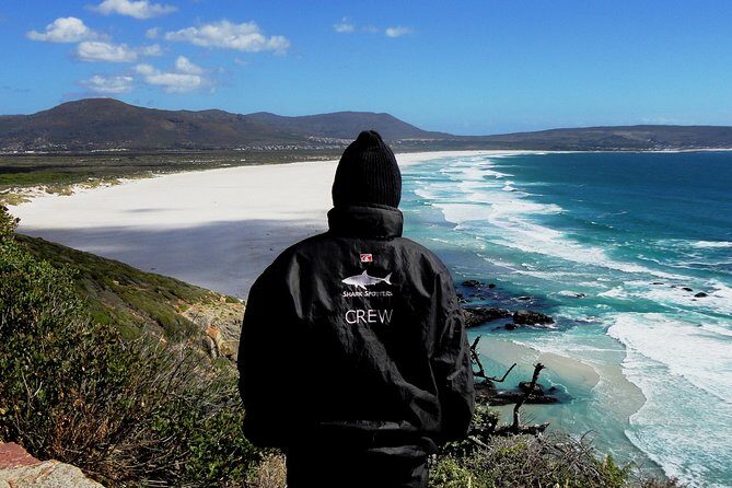 Cape of Good hope, Cape Point & Penguins, Private Morning Tour - Why This Tour Delivers Value