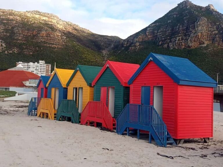 Cape of Good Hope& Penguins at Boulders Beach full day tour - Practical Details and What to Expect