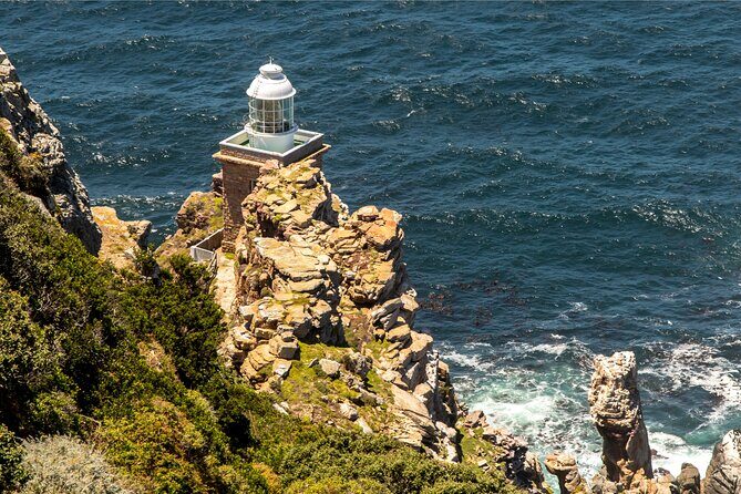 Cape of Good Hope & Penguins Full Day Tour From (The Mother City) Cape Town. - What Travelers Say