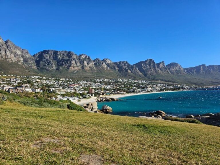 Cape of Good Hope & Penguins Shared Tour - An In-Depth Look at the Tour Experience