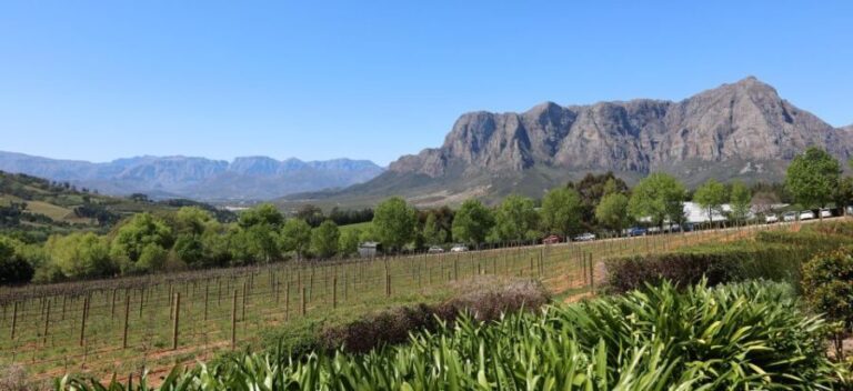Cape Peninsula and Winelands Private Full-Day Combo Tour - What Travelers Say