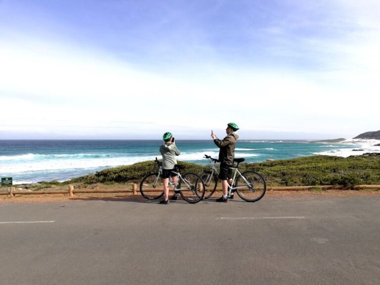 Cape Peninsula: Cycle & Drive Private Full Day Tour - Is This Tour Worth the Price?