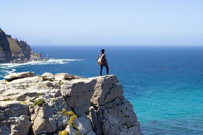 Cape Peninsula Half Day Tour From Cape Town Travel Choice Award - The Sum Up: Who Is This Tour Best For?