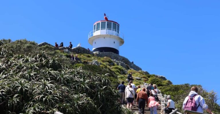 Cape Peninsula & Penguins Beach Half Day Tour from Cape Town - The Experience and the Guides