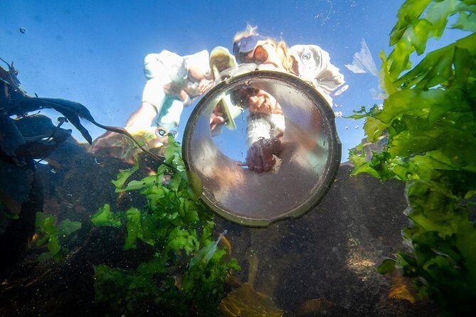 Cape Peninsula with a Marine Biologist - The Itinerary: A Day Filled with Hidden Gems and Iconic Sights