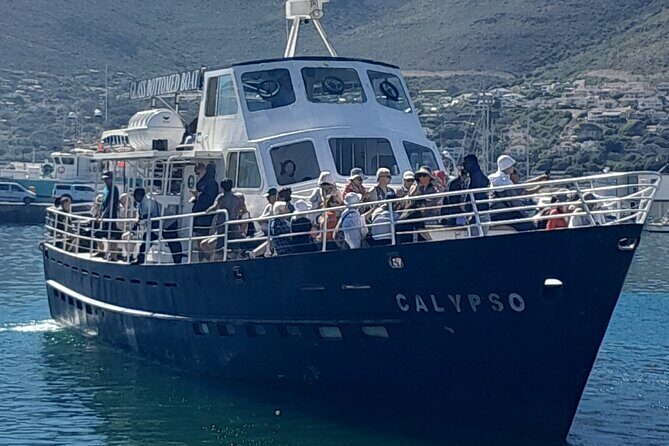 Cape Point Cape Of Good Hope And Penguins Private Tour - Who Should Consider This Tour?