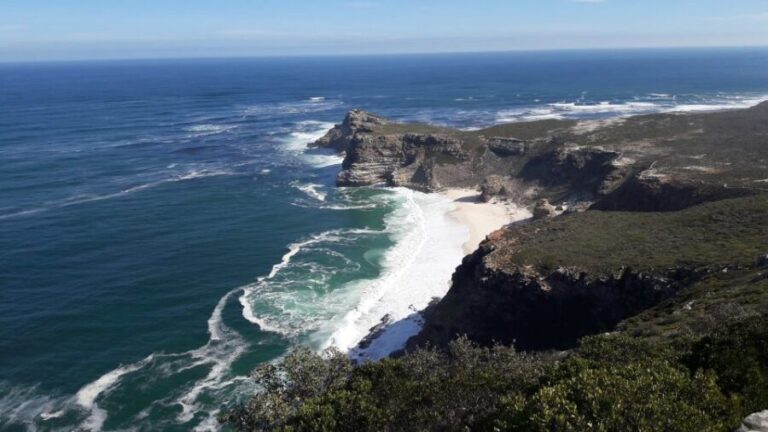 Cape Point Cape of Good Hope, Penguins Private Half day Tour - Key Points