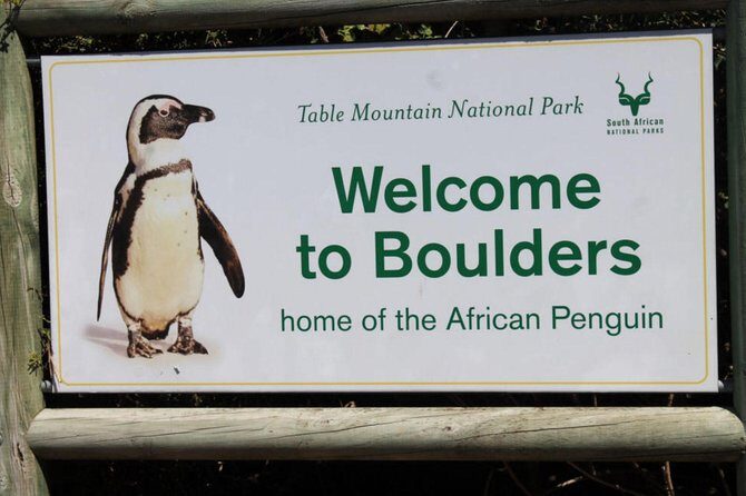Cape Point Explore with Boulder's Penguins Small Group Day Tour - The Value and Experience for Travelers