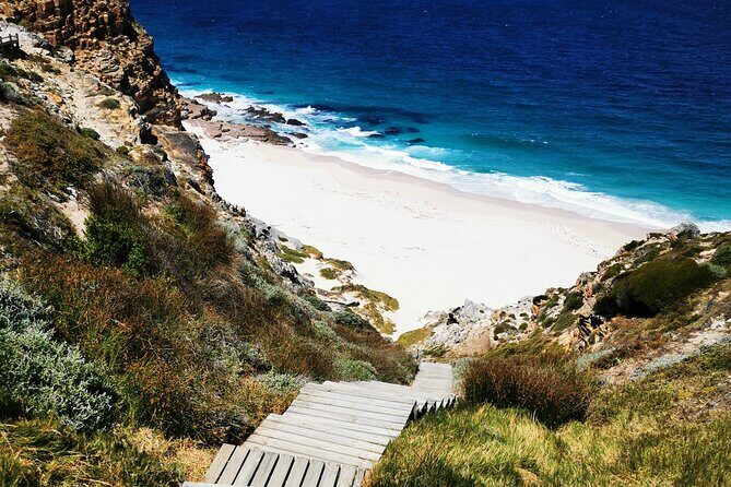 Cape Point Xplorer - The Value and Practicalities