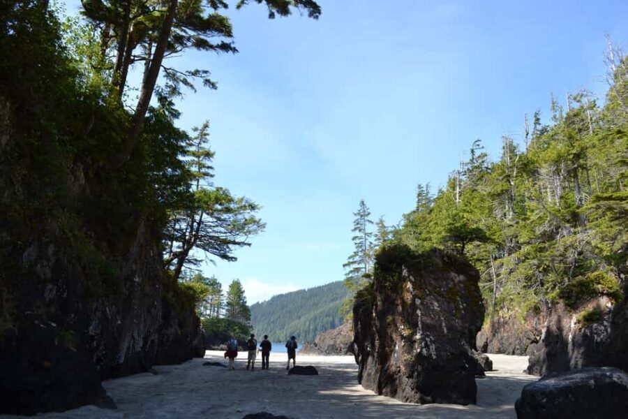 Cape Scott: San Josef Bay Day Hike with Scenic Drive - Is It Worth the Price?