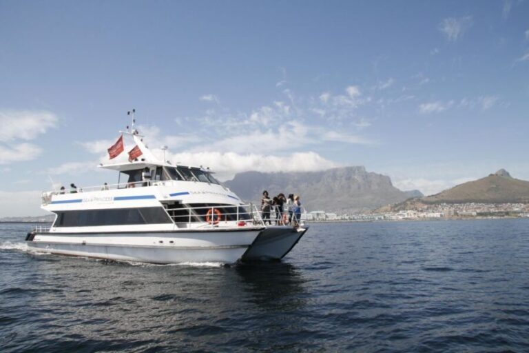 Cape Town: 1-Hour Pre-Sunset Champagne Cruise - The Experience in Detail