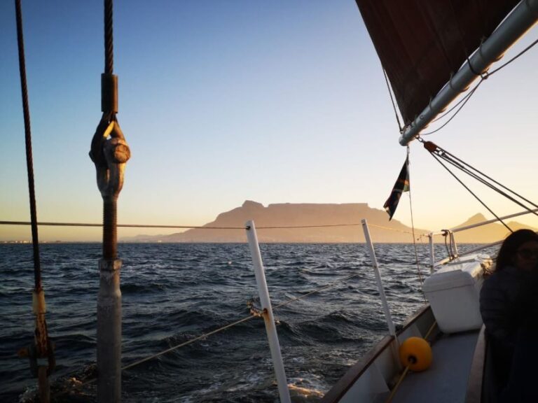 Cape Town: 1 Hour Table Bay Sailing Tour - Why You’ll Love This Experience