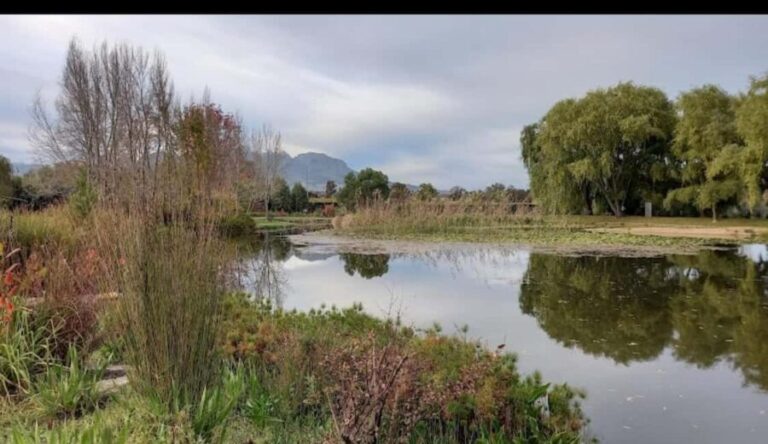 Cape Town: 15 Wine Tasting & Wildlife Small Group Tour - Final Thoughts: Who Will Love This Tour?