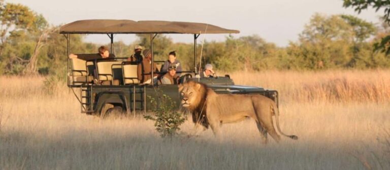 Cape Town: 4-Day Garden Route Tour with Accommodation - Final Thoughts