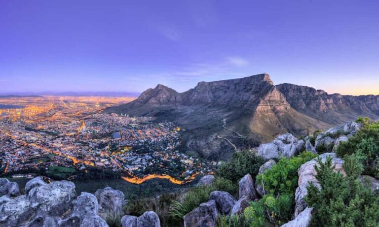 Cape Town: CAPE OF GOOD HOPE AND PENGUINS PRIVATE FULL DAY. - An Honest Look at the Experience