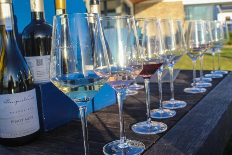 Cape Town: Constantia Wine Tour, Tastings & Scenic Transfers - Groot Constantia: The Historic Heart