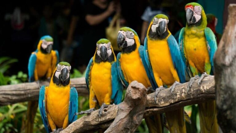 Cape Town for Children: Family Tour - What’s Included and What’s Not