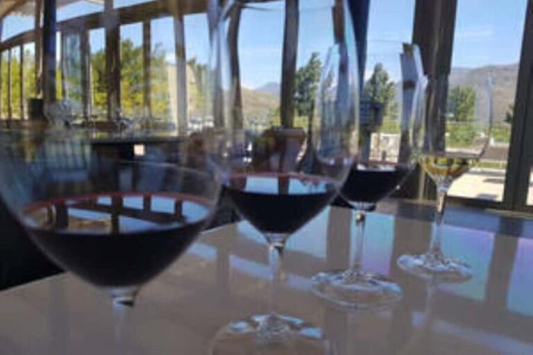 Cape Town: Franschhoek Private Wine Tour - What to Expect on the Tour
