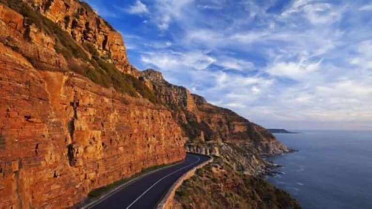 Cape Town: Full-Day Cape Peninsula Tour & Penguin Beach - What the Reviews Say: Real Travelers’ Experiences