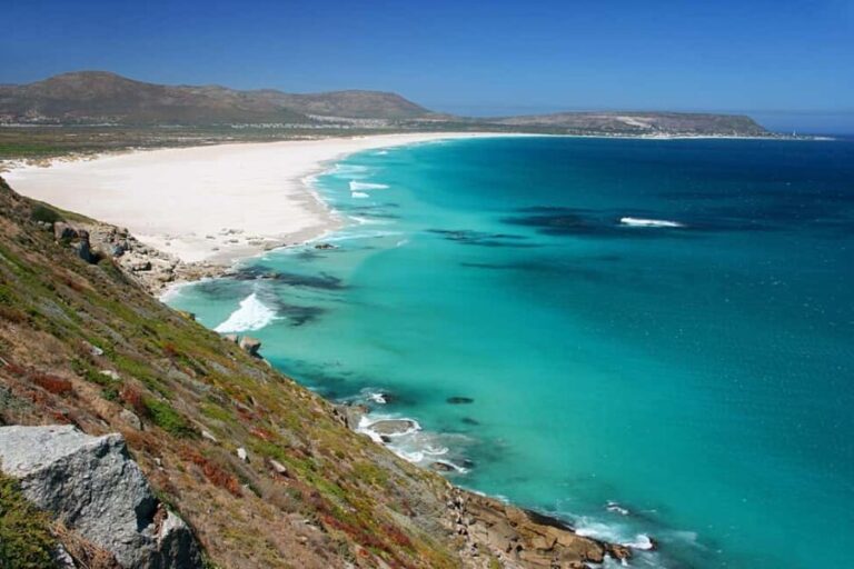 Cape Town: Full-Day Peninsula Tour with Small Group - Analyzing the Value