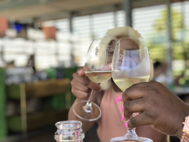 Cape Town: Full-Day Stellenbosch and Franschhoek Wine Tour - An In-Depth Look at the Itinerary