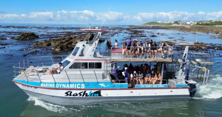 Cape Town: Gansbaai Eco-Friendly Shark Cage Diving Cruise - Is It Worth the Price?