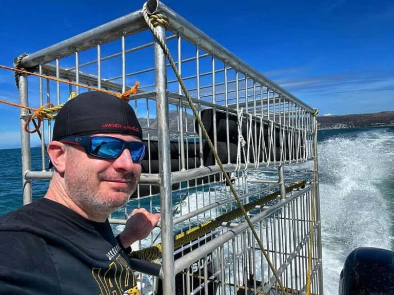 Cape Town : Gansbaai Eco-Friendly Shark Cage Diving Cruise - Inside the Shark Cage Experience