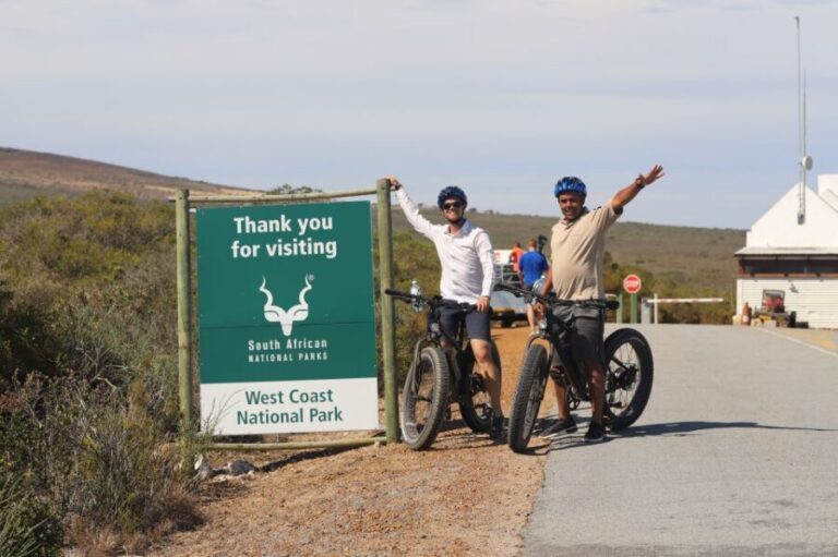 Cape Town: Guided e-Bike Safari Tour - The Sum Up