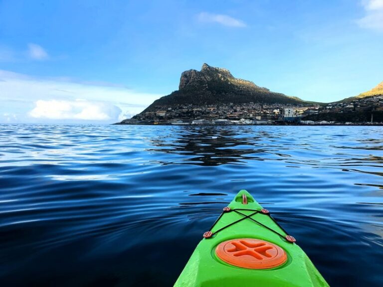 Cape Town: Guided Kayaking in Hout Bay - What to Expect During the Tour