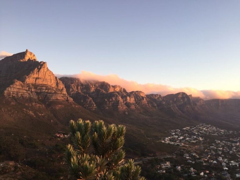 Cape Town: Guided Marine Wildlife Cruise and Cape Point Tour - Evaluating the Value