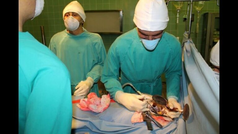 Cape Town: Heart of Cape Town Medical Museum Entrance Ticket - Who Will Enjoy This Experience?