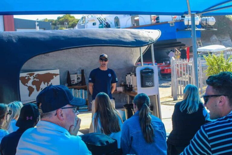 Cape Town: Hermanus Boat Cruise Whale Watching Tour - What to Expect on the Whale Watching Boat Trip