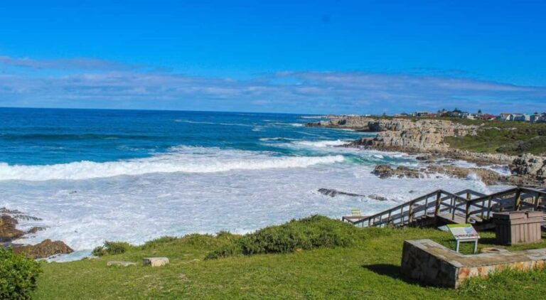 Cape Town: Hermanus Land Based Whale Watching Tour - What to Expect From the Tour