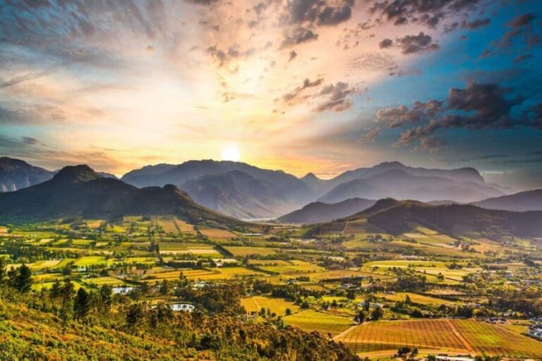 Cape Town: Hop On, Hop Off: Franschhoek Wine Tram Tour! - What You Can Expect from the Tour
