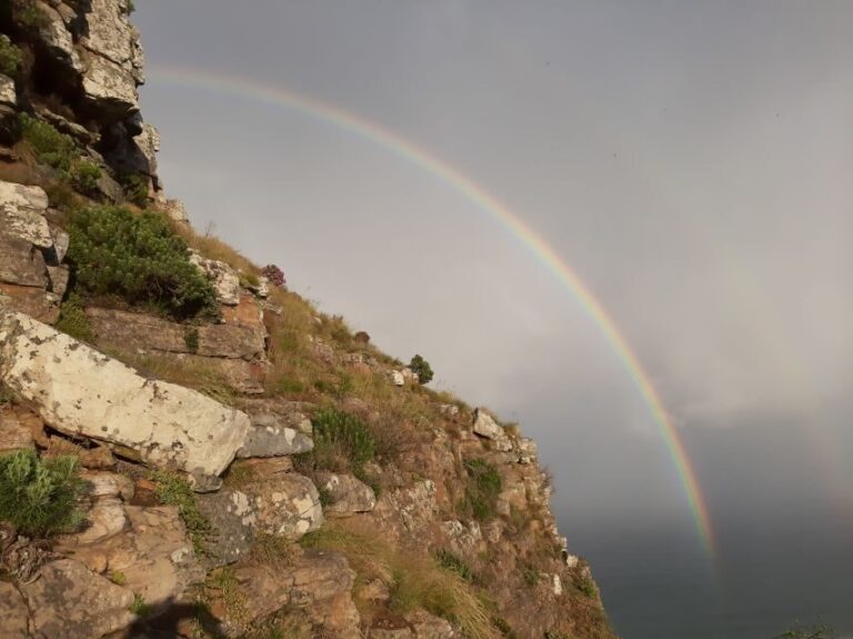 Cape Town: Lion's Head Sunrise with coffee or Sunset Hike - What’s Included: Value for Money