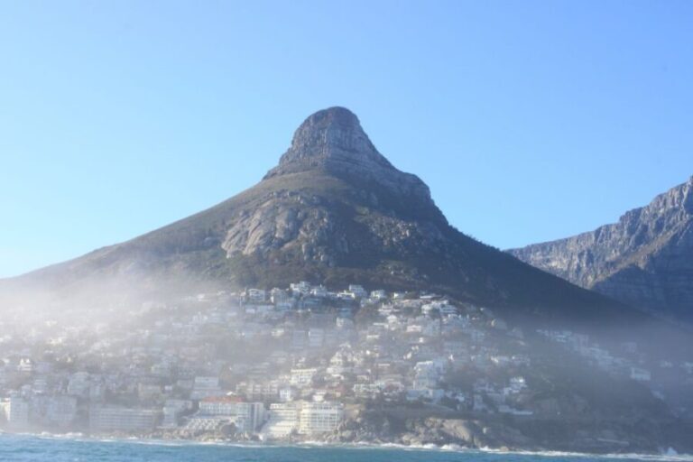Cape Town: Marine Big 5 Ocean Safari from V&A Waterfront - An In-Depth Look at the Ocean Safari