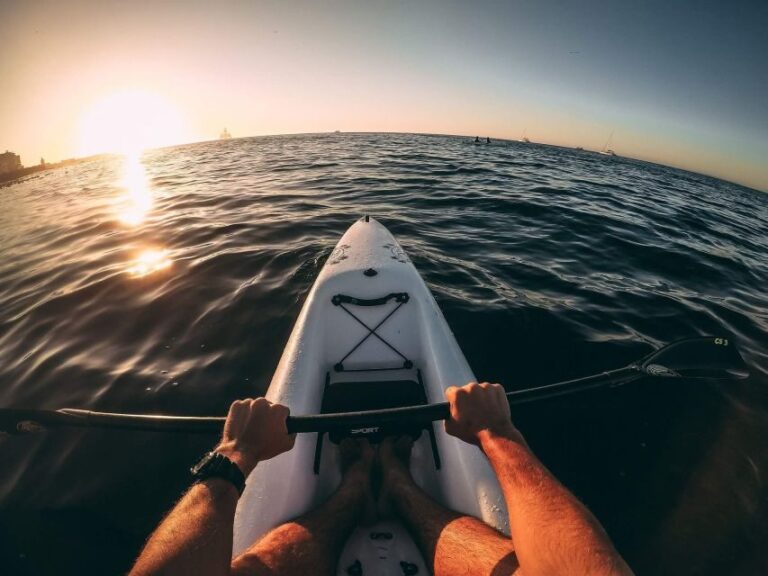 Cape Town: Marine Life Kayak Tour From the V&A Waterfront - Final Thoughts: Is It Worth It?