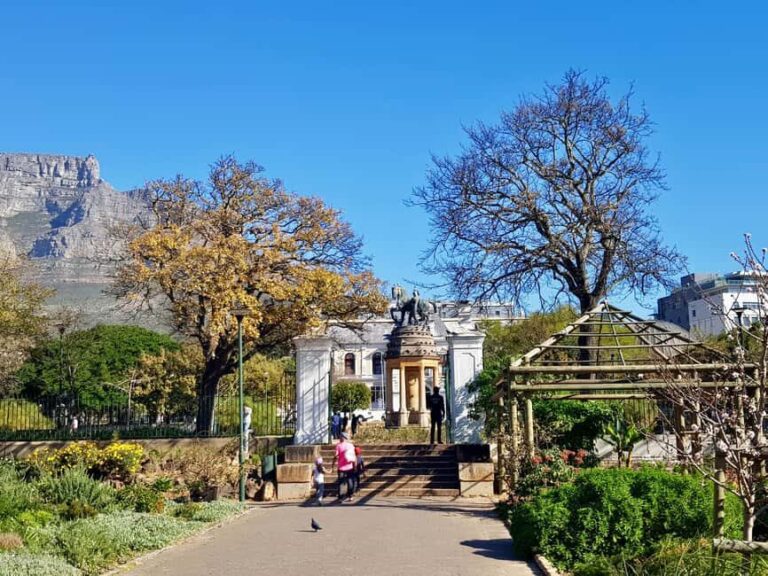 Cape Town: Museum Walking Tour - A Deep Dive into the Cape Town Museum Walking Tour
