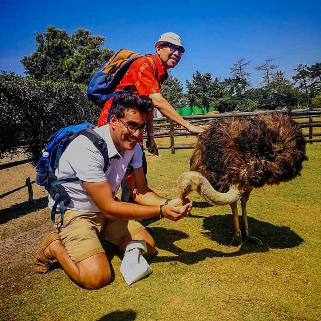 CAPE TOWN: OSTRICH RANCH QUAD BIKE RIDE & OSTRICH TOUR - Pricing and Value
