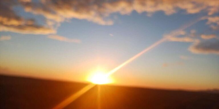 Cape Town: Penguins and Cape of Good Hope Sunset Tour - The Practicalities and Cost Analysis