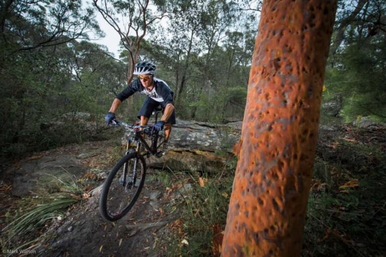 Cape Town: Peninsula Private Mountain Bike Tour with Ex-Pro - Key Points