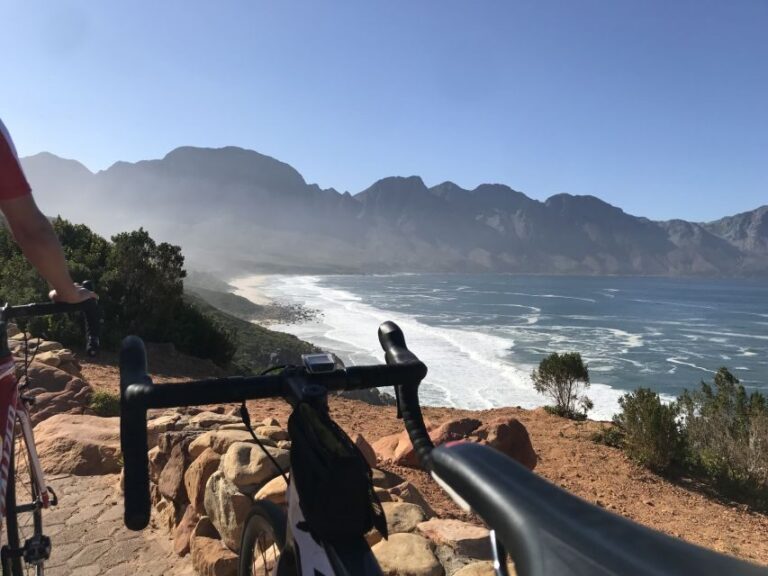 Cape Town: Peninsula Road Bike Tour - Authentic Experiences and Practical Insights