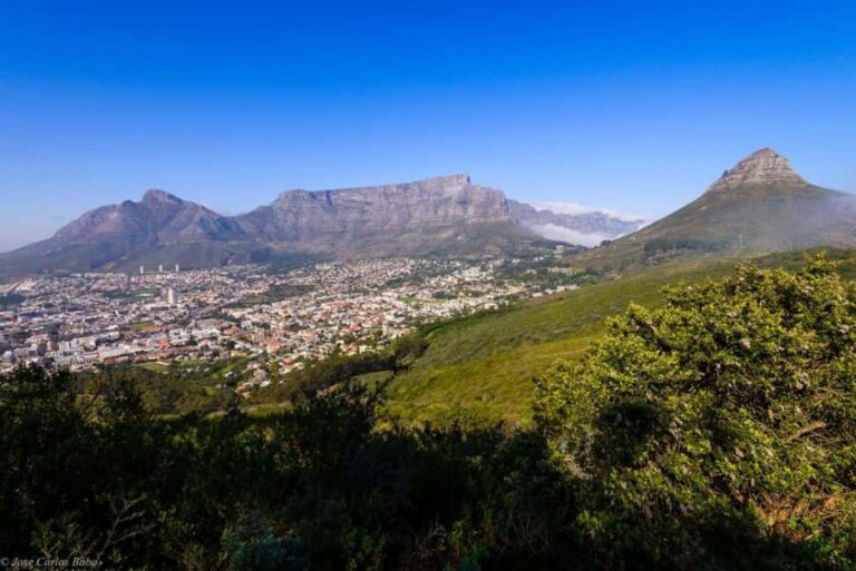 Cape Town: Private Full-Day City Tour of Top Attractions - What Makes This Tour Stand Out?